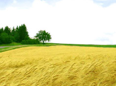 爱游戏娱乐中心基地展示5