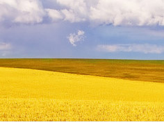 爱游戏娱乐中心基地展示4