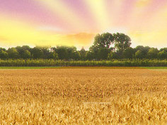 爱游戏娱乐中心基地展示3