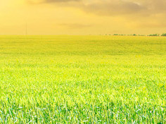 爱游戏娱乐中心基地展示1